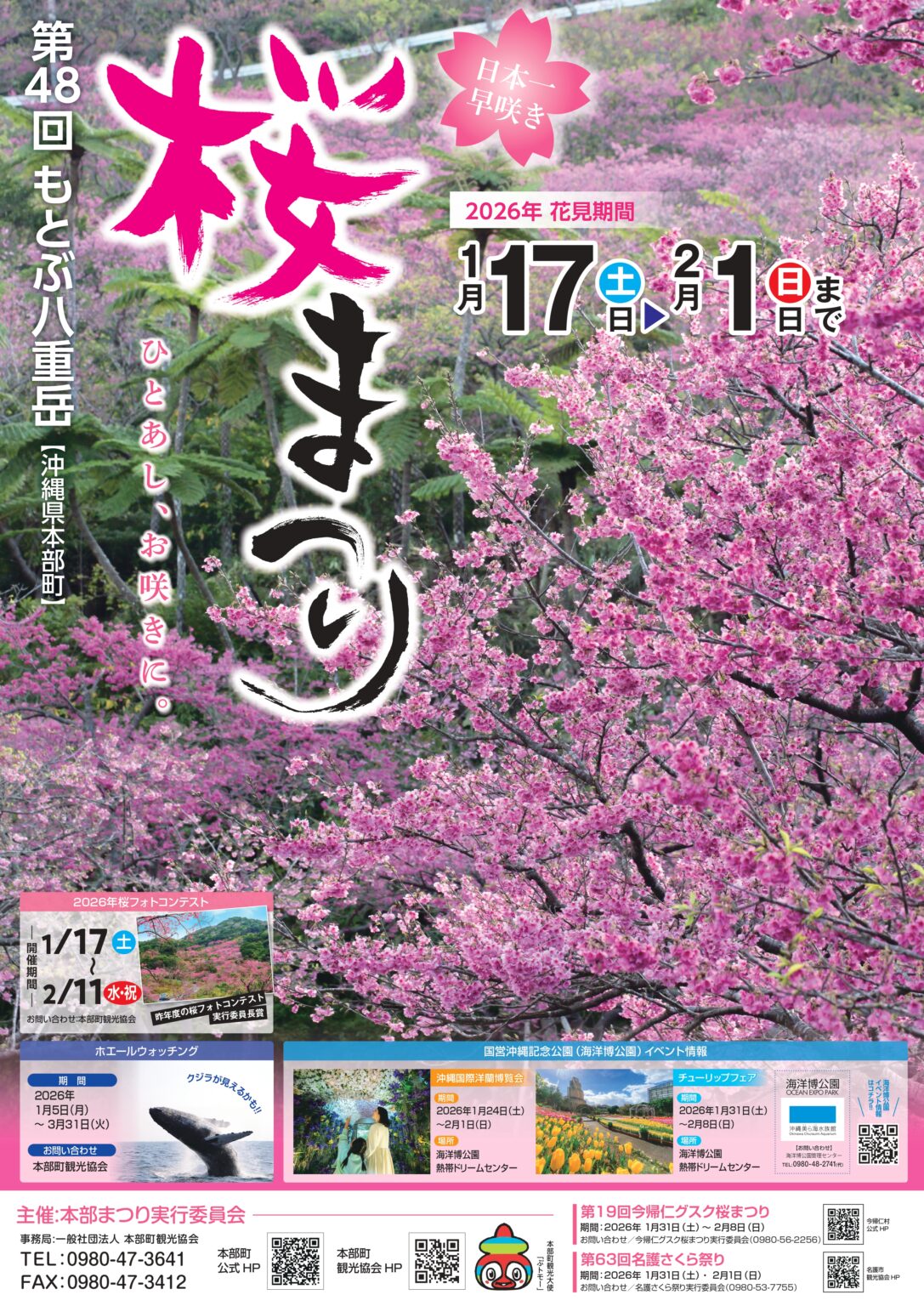 日本一早咲きの桜を楽しむ「第48回 もとぶ八重岳桜まつり」2026年1月17日から開催