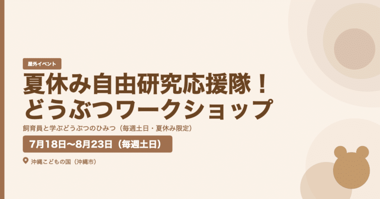 夏休み自由研究応援隊！