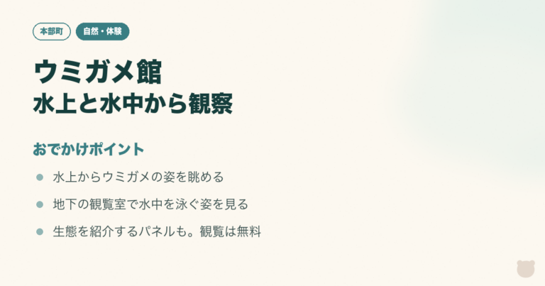 図解：海洋博公園 ウミガメ館｜水上と水中から親子で観察のおでかけポイント3つ